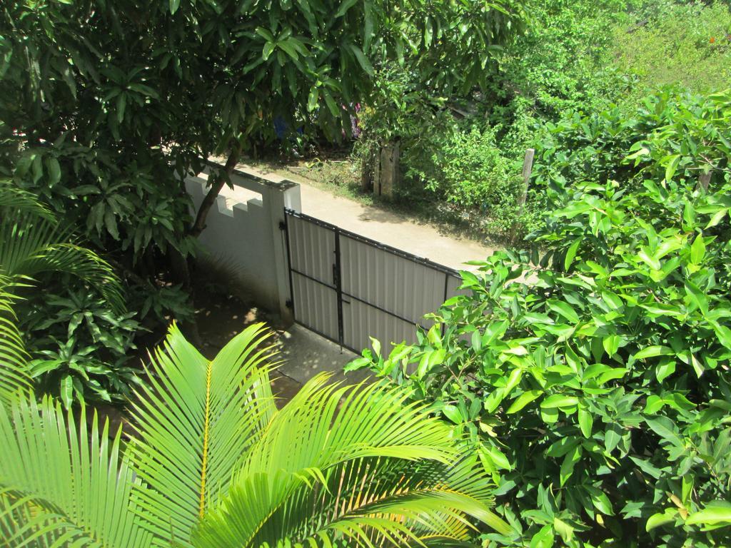 Bay Reach Home Stay Велигама Экстерьер фото