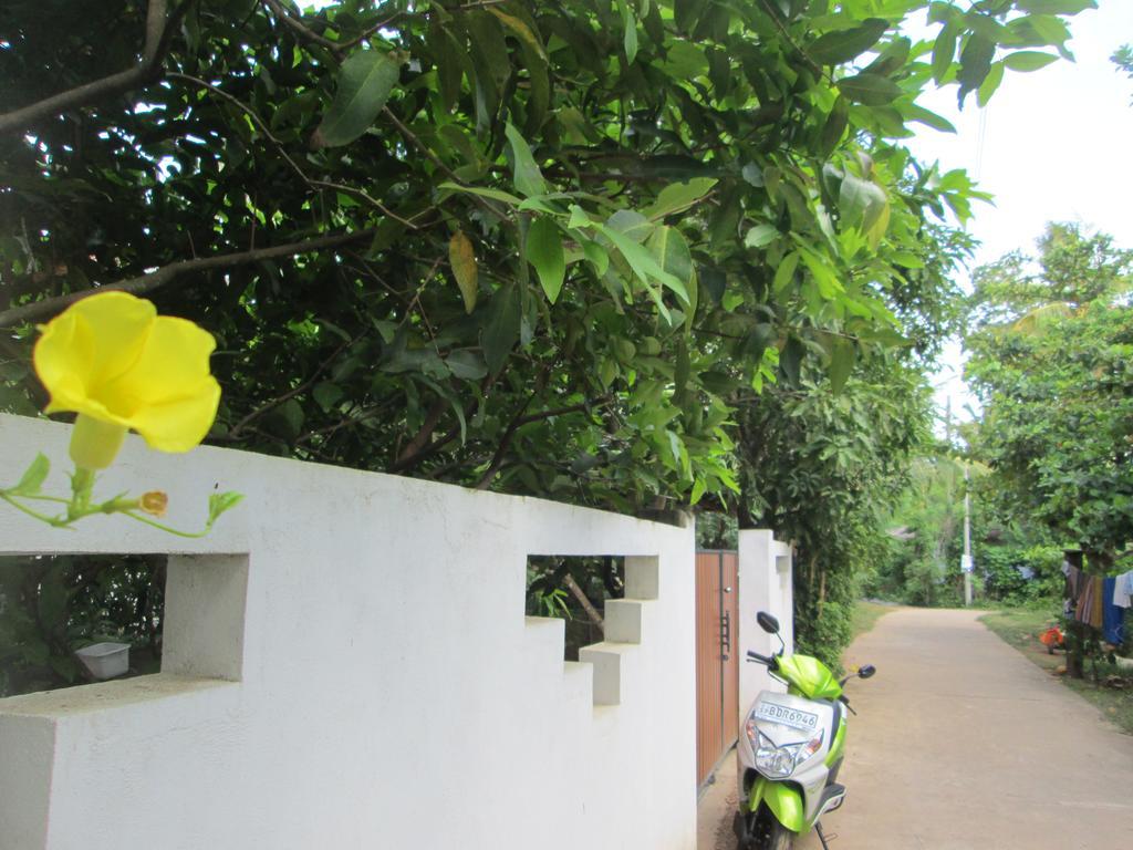 Bay Reach Home Stay Велигама Экстерьер фото