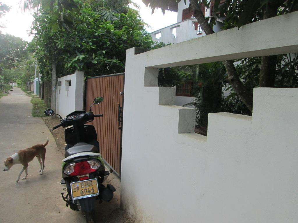 Bay Reach Home Stay Велигама Экстерьер фото