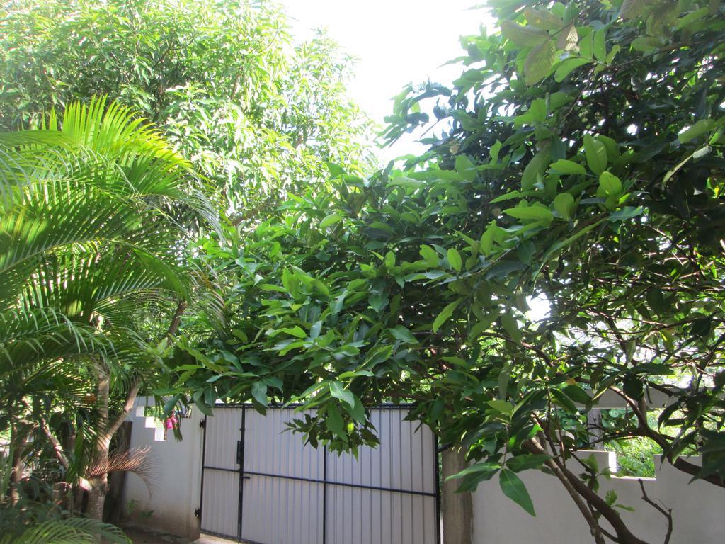 Bay Reach Home Stay Велигама Экстерьер фото