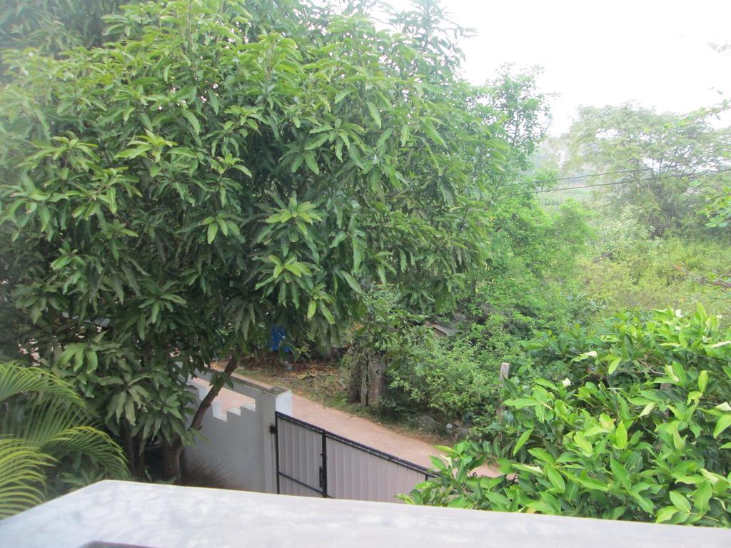 Bay Reach Home Stay Велигама Экстерьер фото