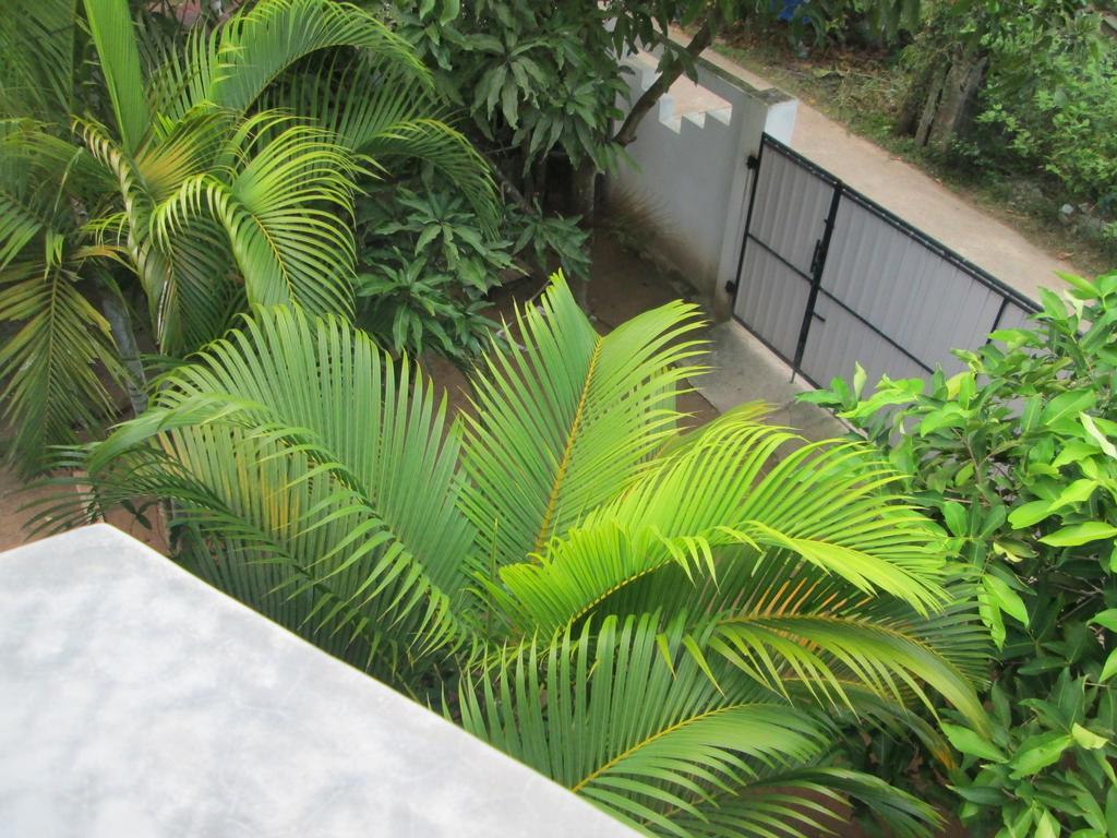 Bay Reach Home Stay Велигама Экстерьер фото